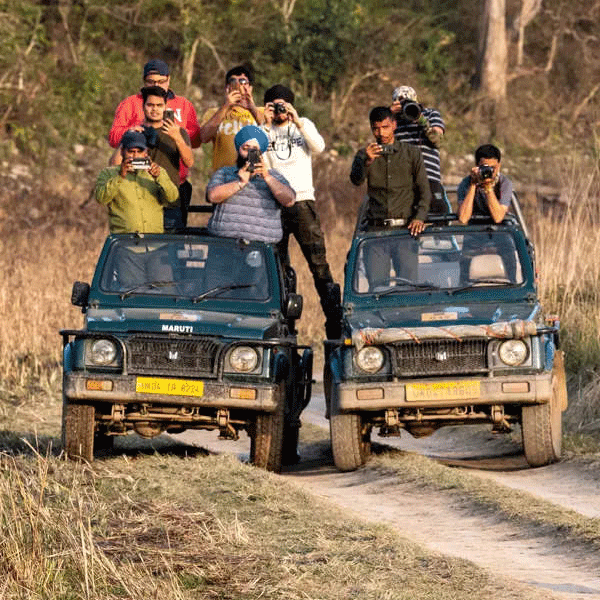 Corbett Jeep Safari